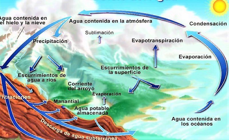 Ciclo Biogeoqu Mico Qu Es Caracter Sticas Tipos Ejemplos Importancia