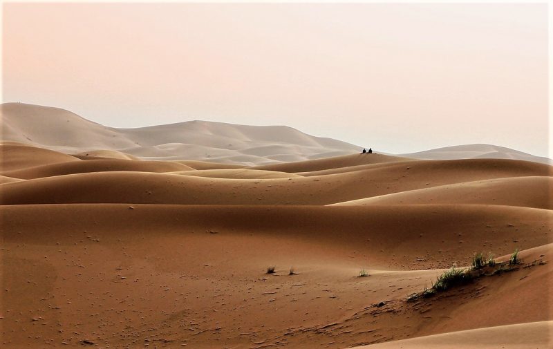Desierto Del Sahara Qué Es Características Historia Clima Fauna Flora