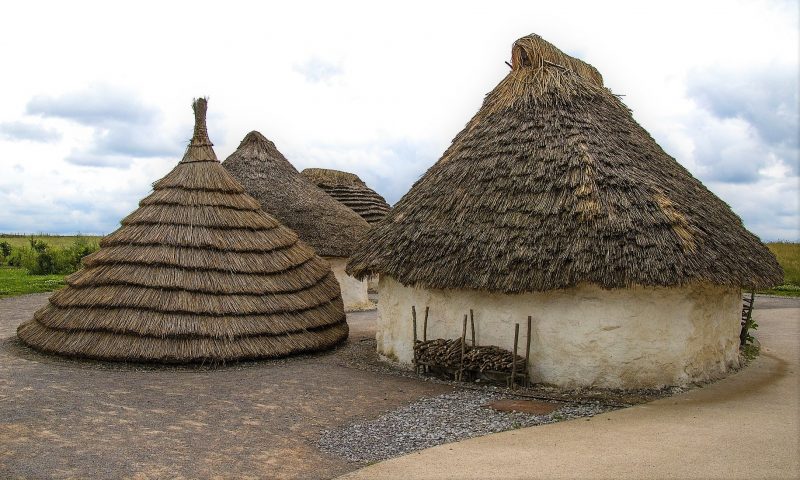 neolithic-what-is-characteristics-man-tools-economy-art