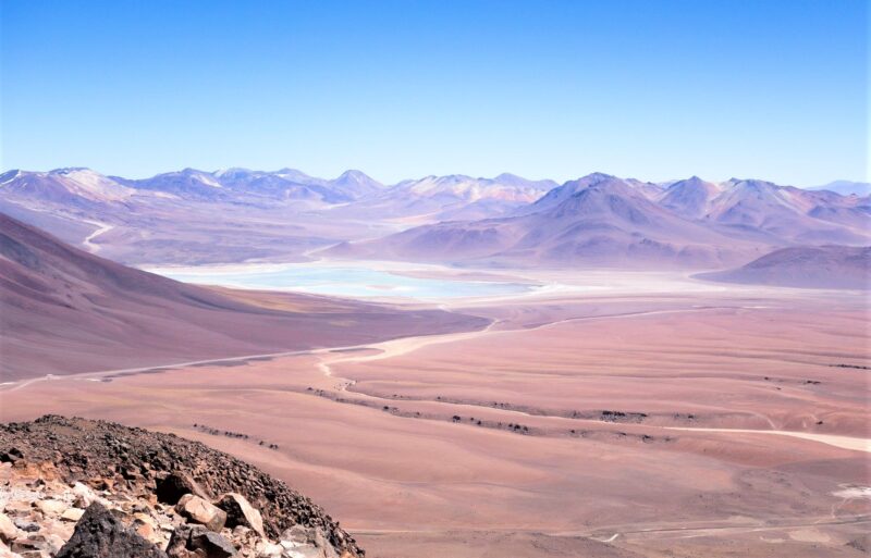 Desierto De Atacama Qué Es Características Historia Fauna Ubicación 6994
