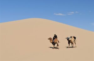 Desierto de Gobi | Qué es, características, historia, ubicación, fauna, flora